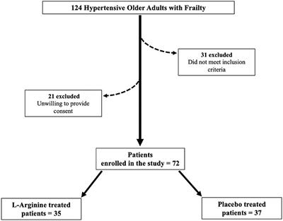 L-Arginine Improves Cognitive Impairment in Hypertensive Frail Older Adults